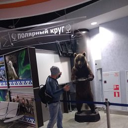 ���� ����, ������, 44 ���� - ��������� 13 ������ 2024