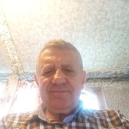 , 65, 