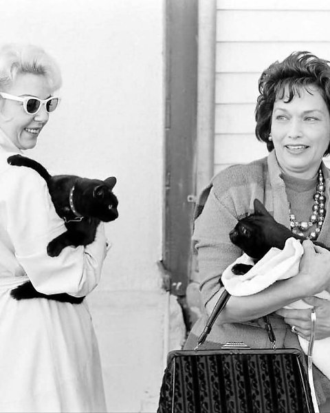  1961           .  150  ... - 5