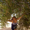 ���� ������@, ��������� - ��������� 13 ������� 2025 � ������ ������ ��������