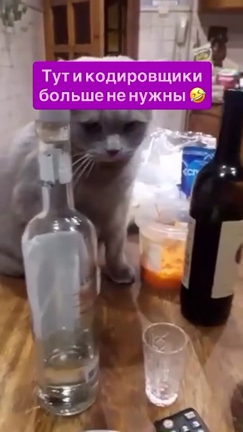      ?) - 2