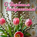 ���� ����, ����� - ��������� 5 ������ 2026 � ������ ������ ��������