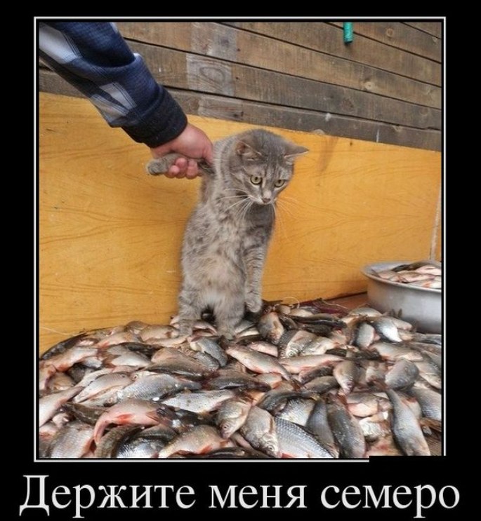 �������� �� ����� ����. - 26 ������� 2026 � 13:26