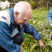 Вова, 63 года, Ярославль Вова, 63 года, Ярославль
