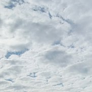 ��������, 42 ����, �����