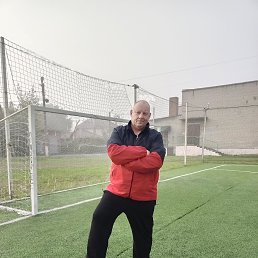, 51 , 