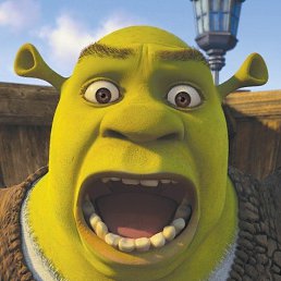 ����, �����, 55 ���