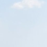 �������, 44 ����, �����-���������