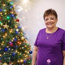 ���� ���, ��������, 71 ��� - ��������� 1 ������ 2026 � ������ ���� ����������