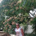 ���� �������, ������ ��������, 69 ��� - ��������� 26 ������ 2026 � ������ ���� ����������