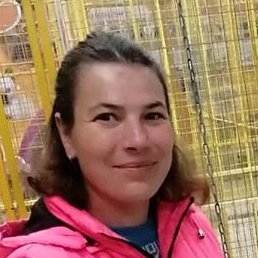 ��������, ������, 44 ����