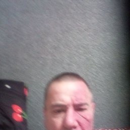 , 44,  