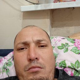 , 36, 