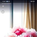 ���� �����, �����-���������, 45 ��� - ��������� 11 ����� 2024 � ������ ���� ����������