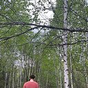 ���� ������, ���������, 23 ���� - ��������� 8 ������� 2024 � ������ ���� ����������