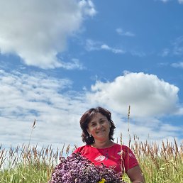 , 48, 