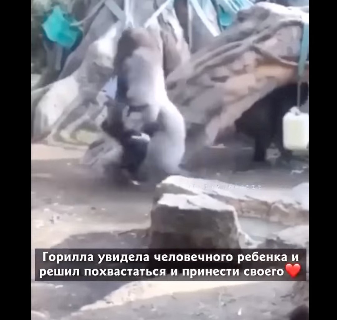       - 2