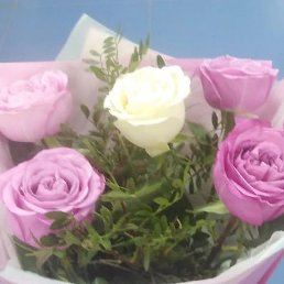 ����, �����������, 39 ���