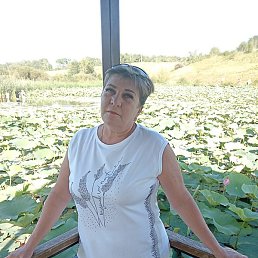 �����, ��������, 63 ����