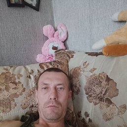 ������, 41 ���, ���