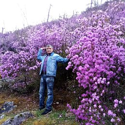  ϸ, , 55  -  8  2025