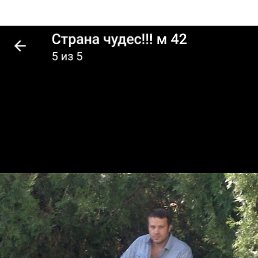 , 41, 
