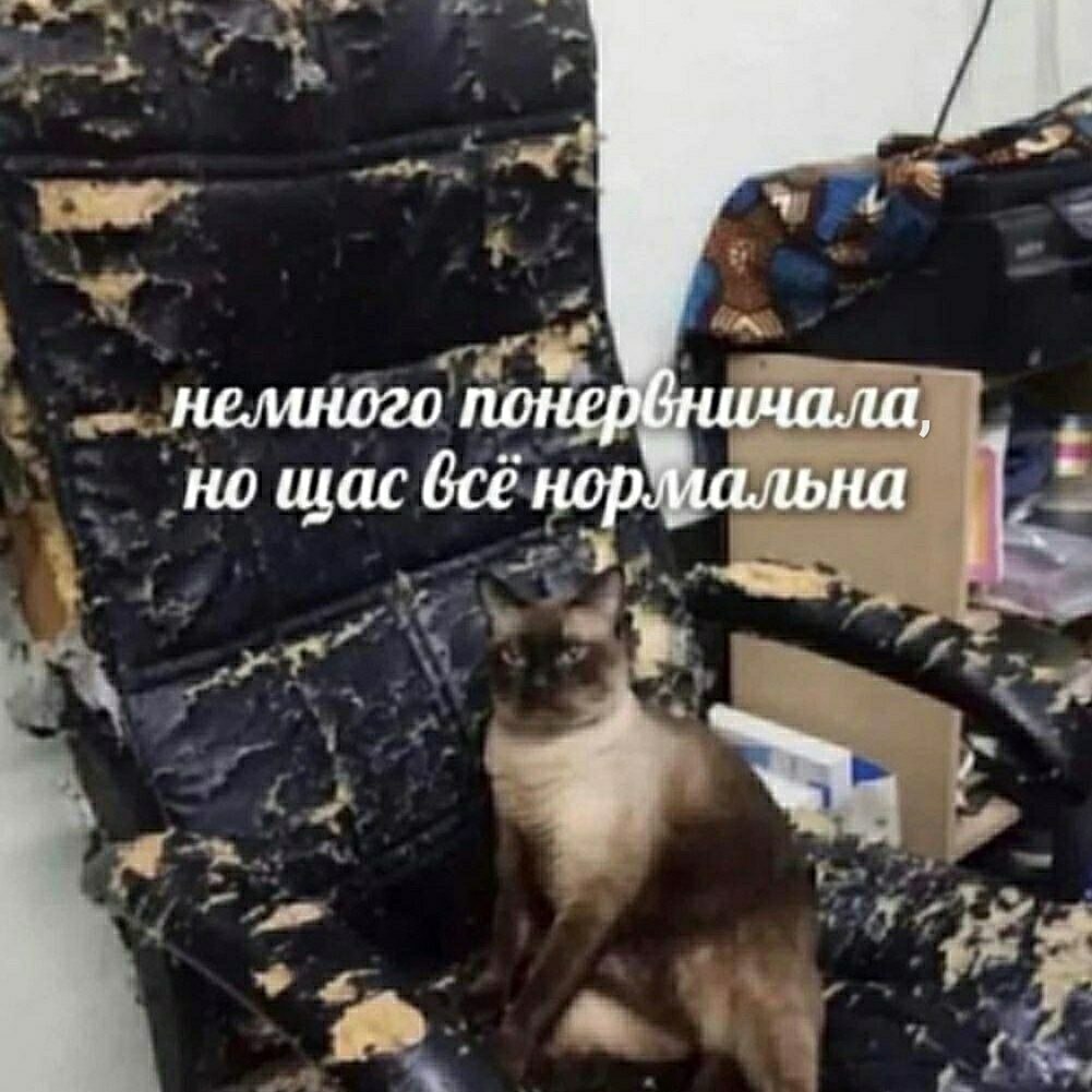 ***Victoria Viktorovna*** - 2  2024  16:23