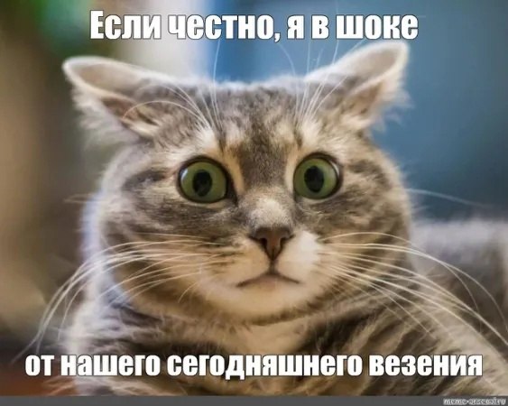  - 9  2023  08:45
