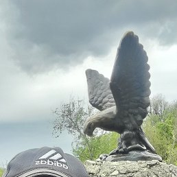 �������, ���������, 55 ���