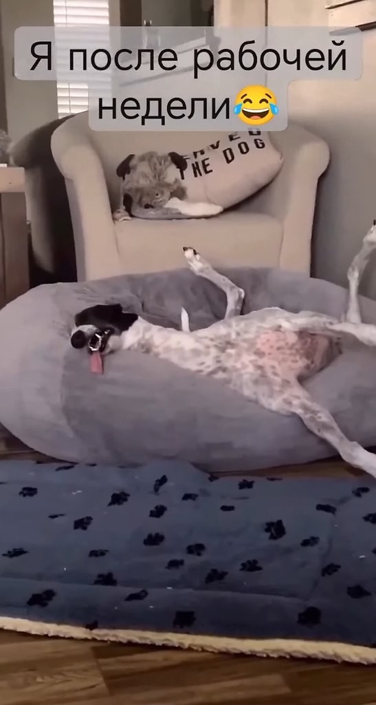       - 2