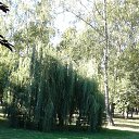 ���� Nadin, �������, 60 ��� - ��������� 11 �������� 2025 � ������ ���� ����������