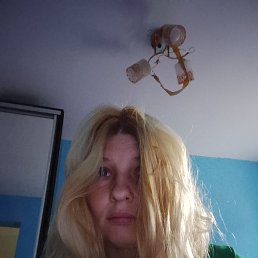 , 33, 