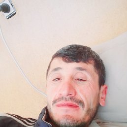   , -, 38  -  12  2025