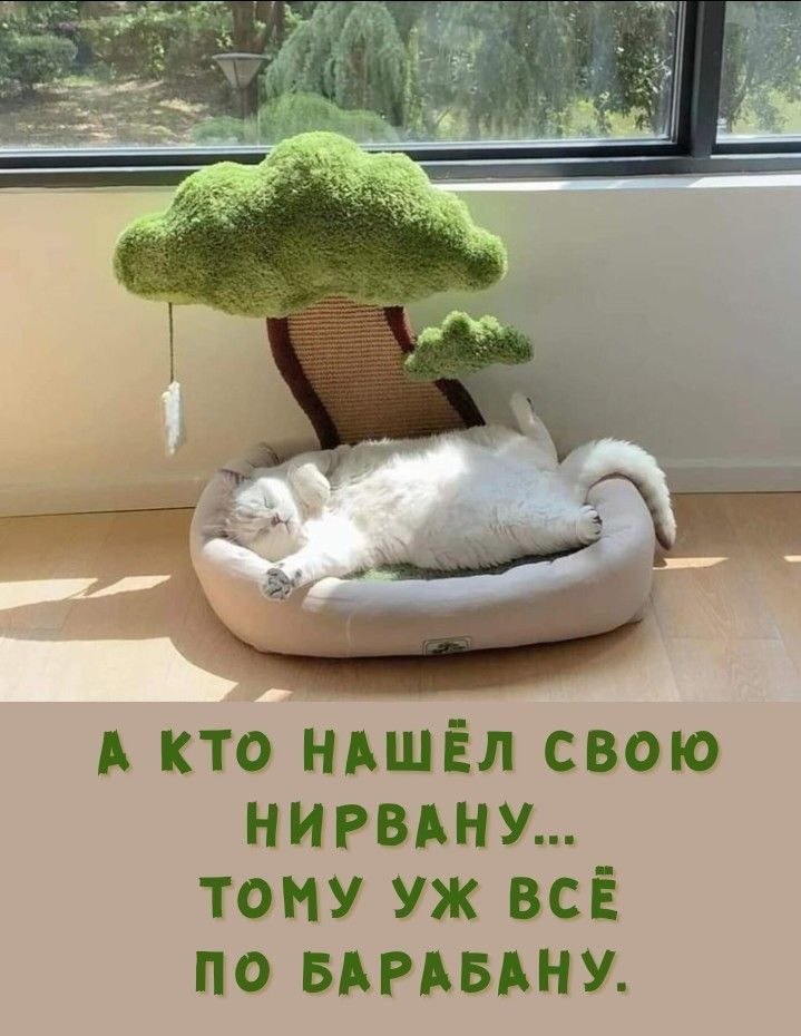   - 3  2025  12:53