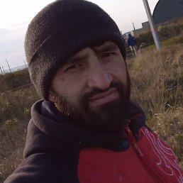 ��������, ������, 31 ���