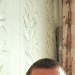 , 29 , 