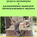 ���� ��������� ��������, ������-��-����, 38 ��� - ��������� 29 ������ 2026 � ������ ������ ��������