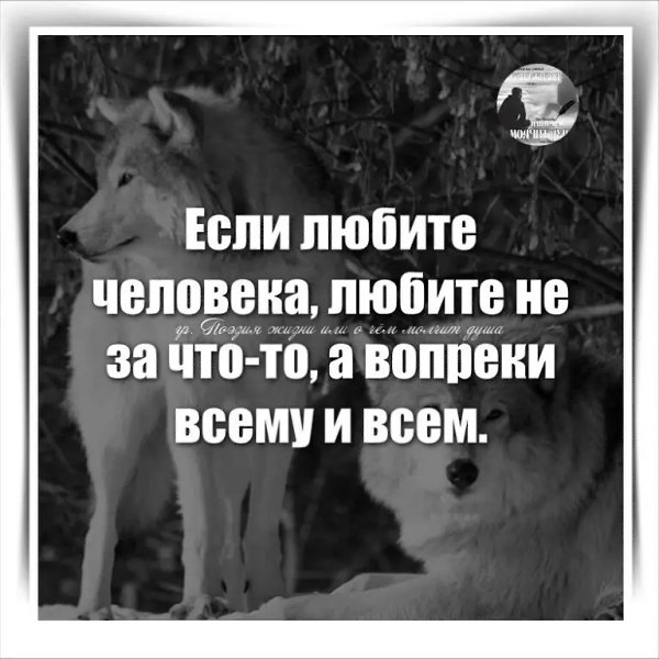  - 22  2025  23:41