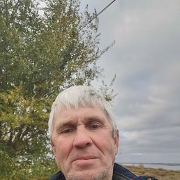 , 59, 