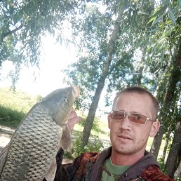 , 39, 
