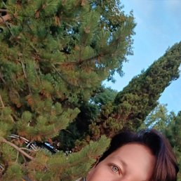 ���� �����, ����, 41 ��� - ��������� 15 ������� 2025