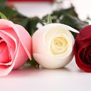 ���� ��������, ������, 61 ��� - ��������� 10 ������ 2023 � ������ ���� ����������