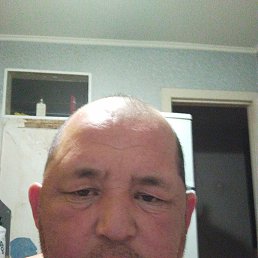 , 41, 