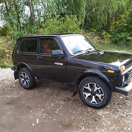 �������� �����������, ���, 65 ���