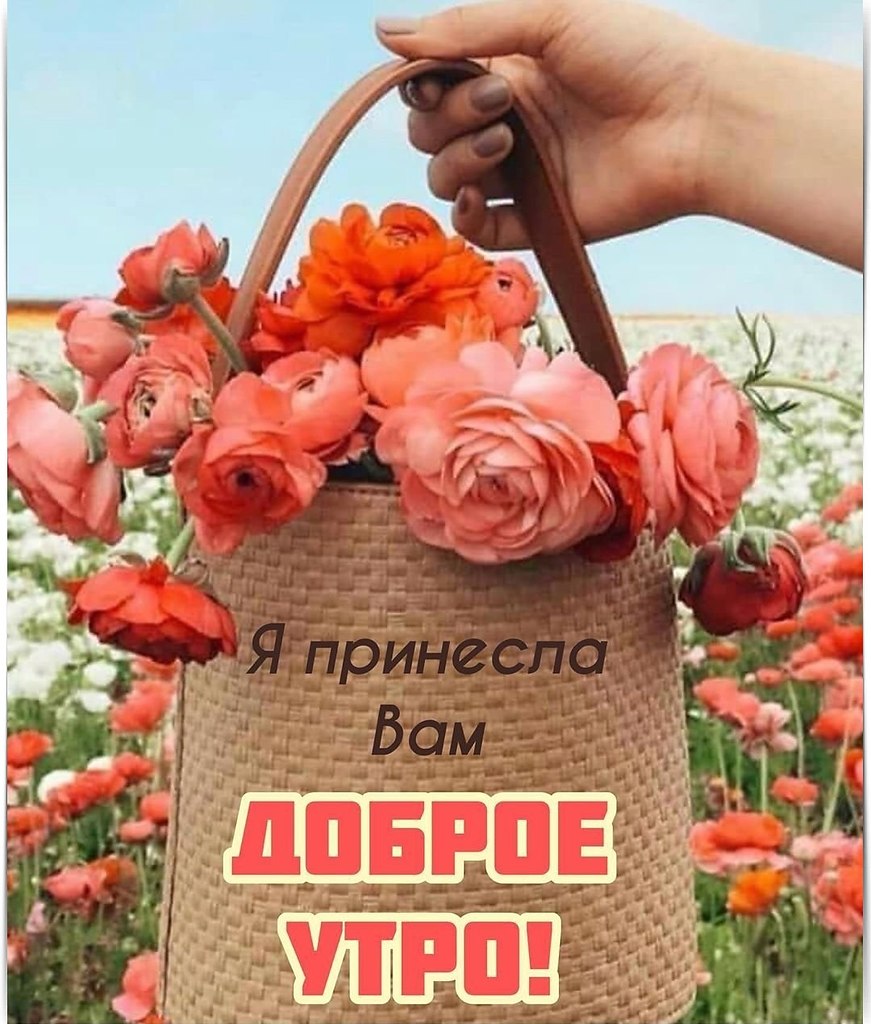 ************************