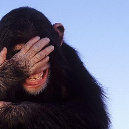 ����, �����-���������, 47 ���