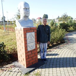 ������, 66 ���, ��������