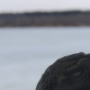 ���������, 34 ����, ������