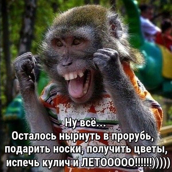    !   !