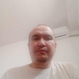 , 44, 